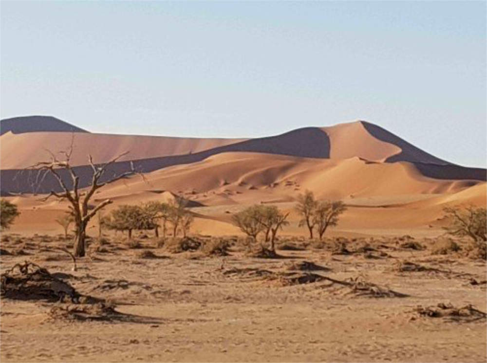 south africa 4x4 hire namibia etosha